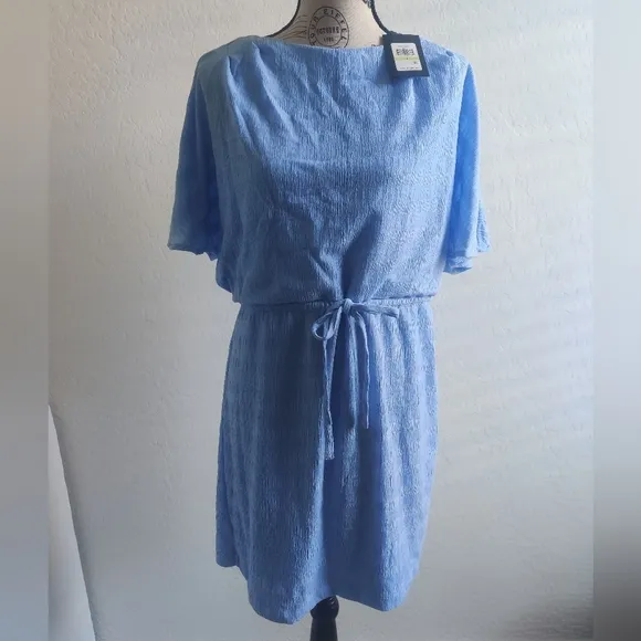 🆕 DKNY Sky Blue flare sleeve adjustable empire waist subtle stripe midi dress_4