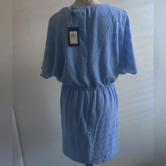 🆕 DKNY Sky Blue flare sleeve adjustable empire waist subtle stripe midi dress_4