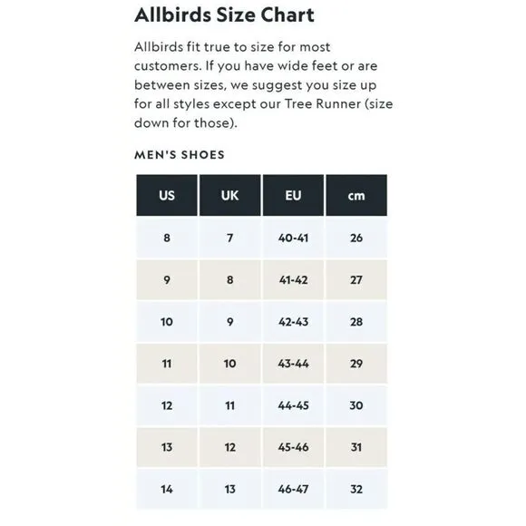 Allbirds Wool Runners Sneakers