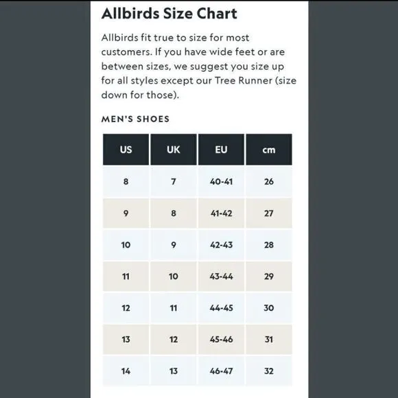 Allbirds Wool Runners Sneakers