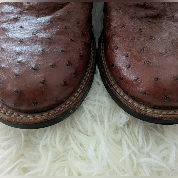 Ariat Men's Ostrich Brown and Tan Western Boots