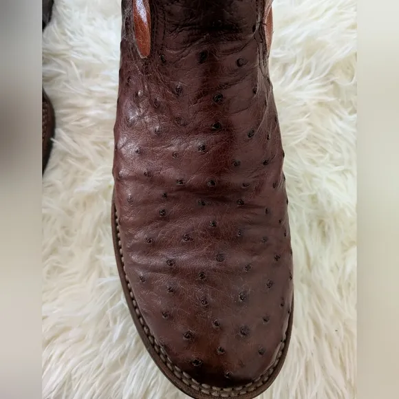 Ariat Men's Ostrich Brown and Tan Western Boots