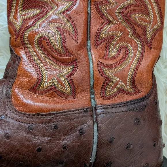 Ariat Men's Ostrich Brown and Tan Western Boots