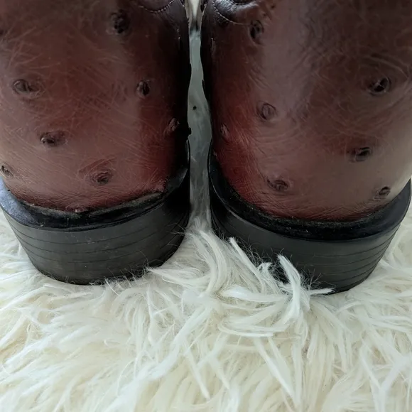 Ariat Men's Ostrich Brown and Tan Western Boots