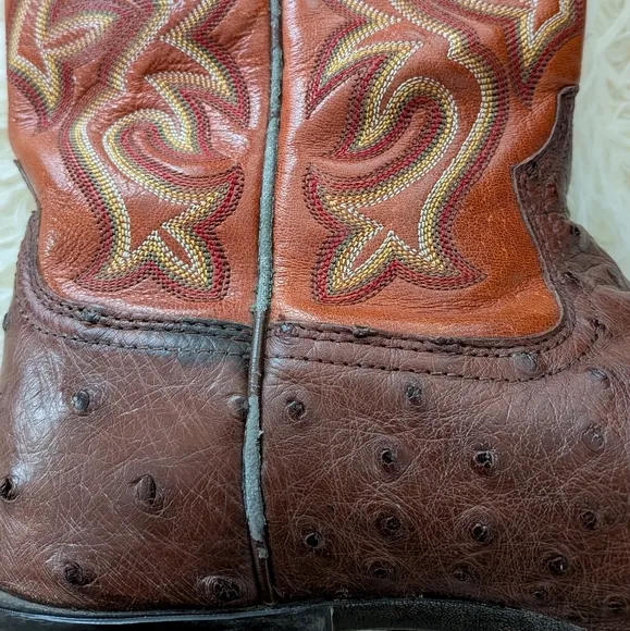 Ariat Men's Ostrich Brown and Tan Western Boots