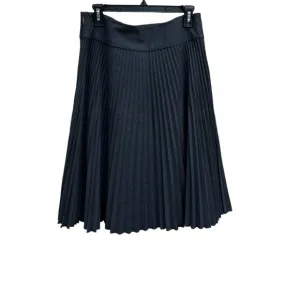 Banana Republic Anthrazit Wool Blend Pleated Skirt Size 6