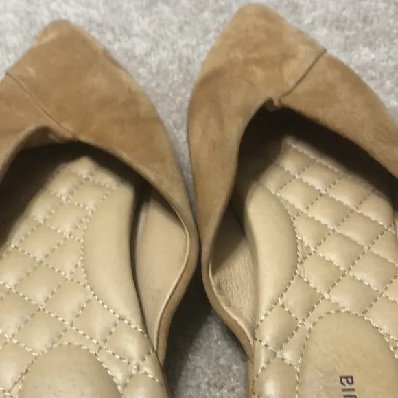 Birdies Pointed Toe Swan Flat/Mule in Tan Suede