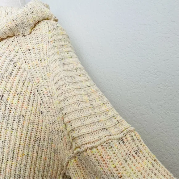 Free People Oversized Pullover Sweater