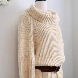 Free People Oversized Pullover Sweater