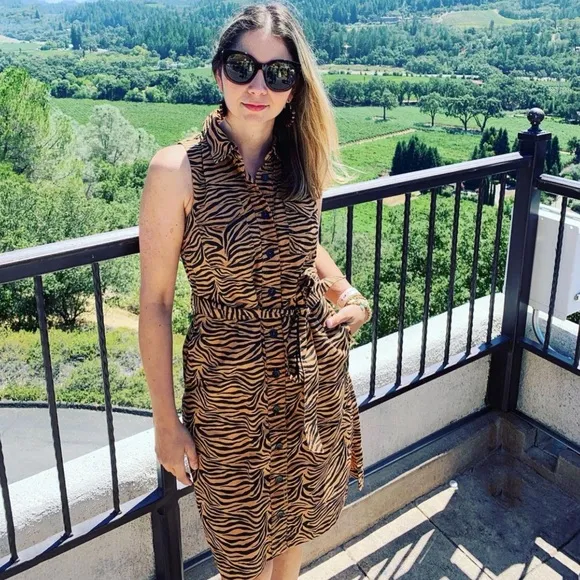 HTF Anthropologie Tiger Shirtdress