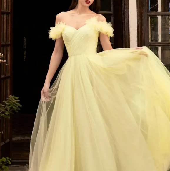 Lilac or blue off the shoulder floor length ball gown
