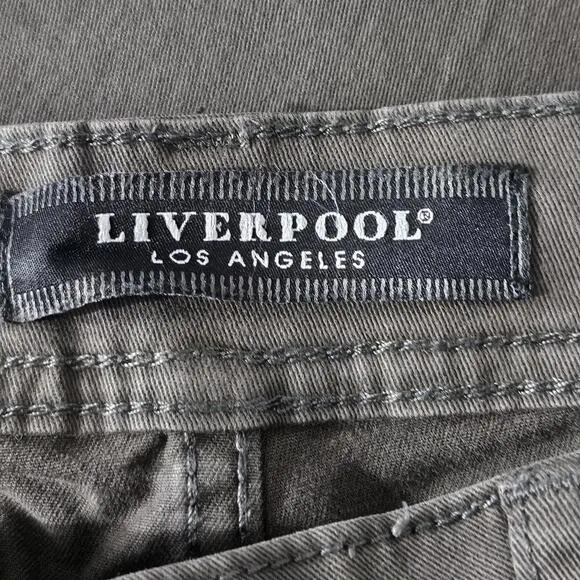 Liverpool Los Angeles Deep Earth Relaxed Straight Jeans Size 29