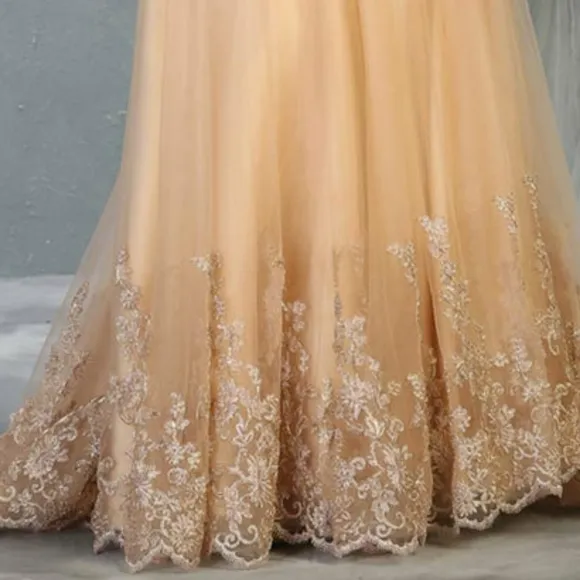 Long mermaid new lace beaded tulle gown with semi open back