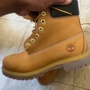 Men’s Timberland