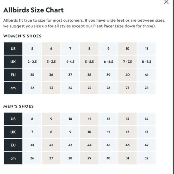 NEW ALLBIRDS Natural Grey Wool Runner Mizzles shoes