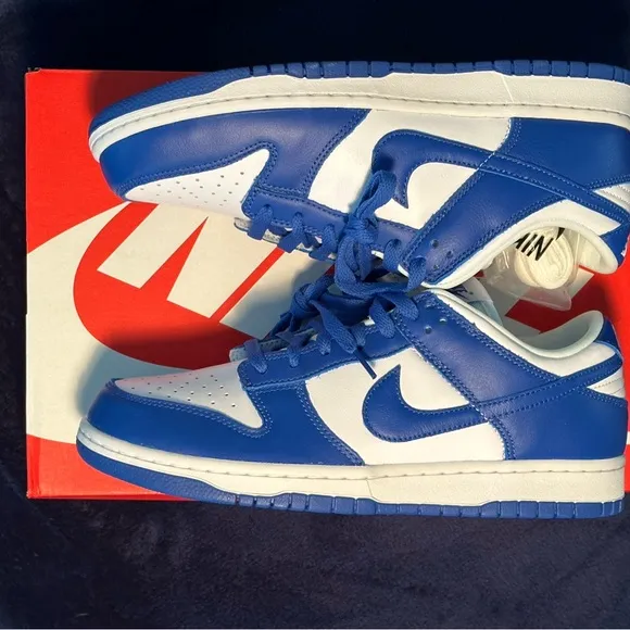 Nike Dunk Low Special Edition Men's Shoes - Blue and White