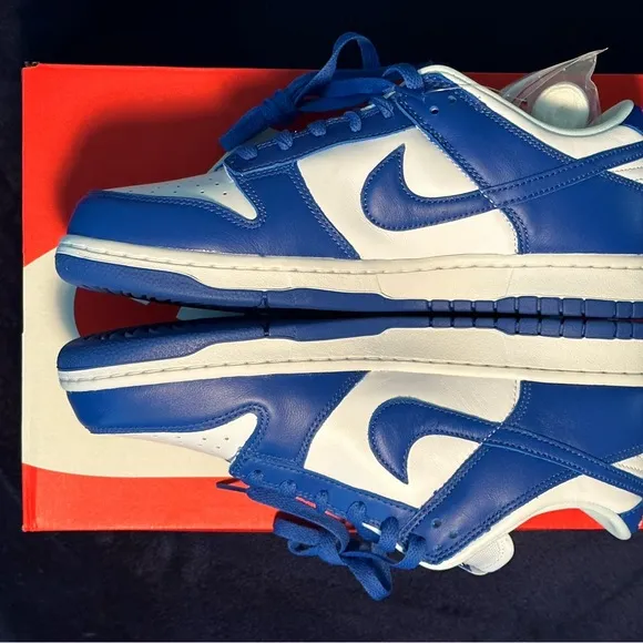 Nike Dunk Low Special Edition Men's Shoes - Blue and White