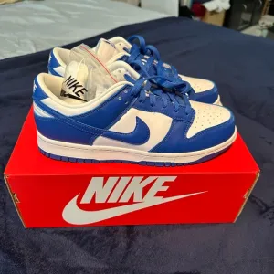 Nike Dunk Low Special Edition Men's Shoes - Blue and White