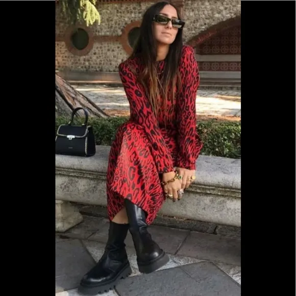 NWOT Zara Animal Print Maxi Dress