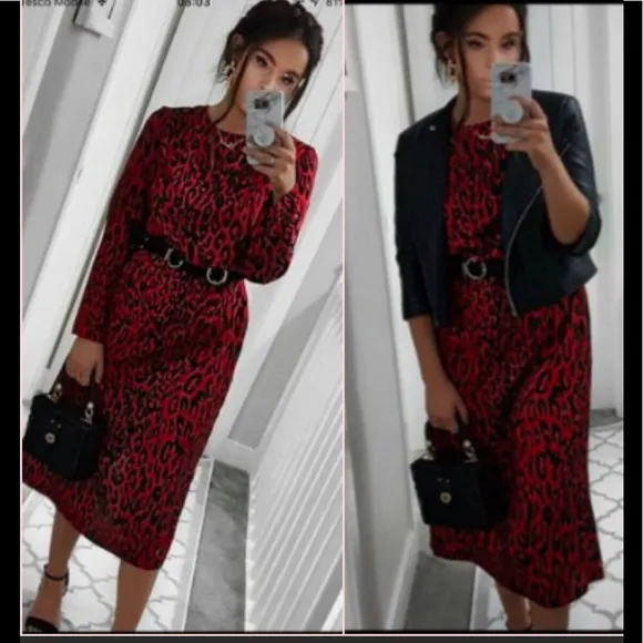 NWOT Zara Animal Print Maxi Dress