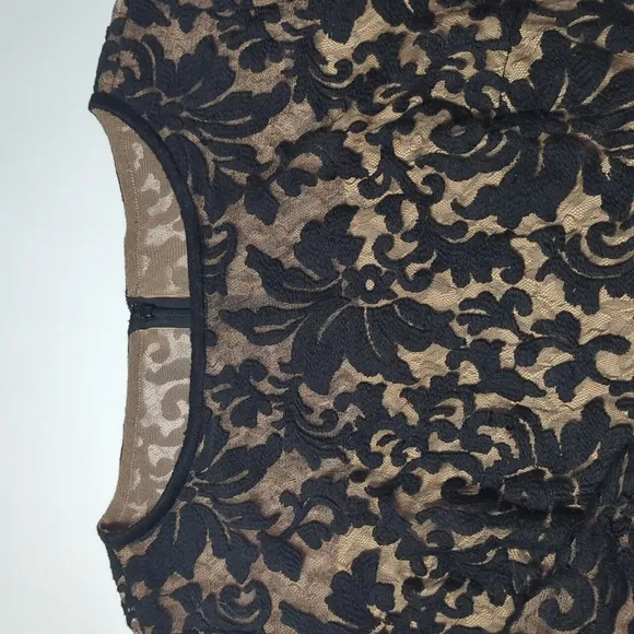 Tadashi Shoji Women's Dress Black Lace Cocktail 3/4 Sleeve Elegant Plus Size 16