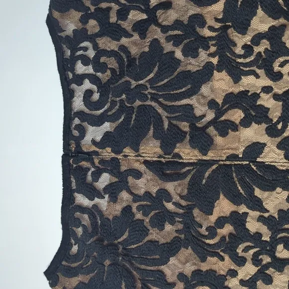 Tadashi Shoji Women's Dress Black Lace Cocktail 3/4 Sleeve Elegant Plus Size 16