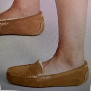 UGG Ansley Chestnut Slippers Shoes