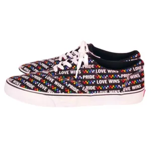 Vans Doheny Pride Shoes Sneakers Love Wins Mens Lace Up Size 13 RAINBOW CHECKERS