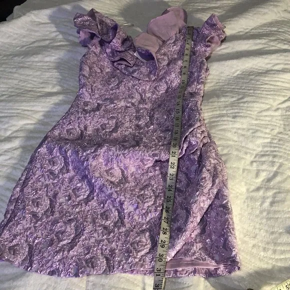 Zara Limited Edition Lilac Pink Ruffled Mini Dress Size M